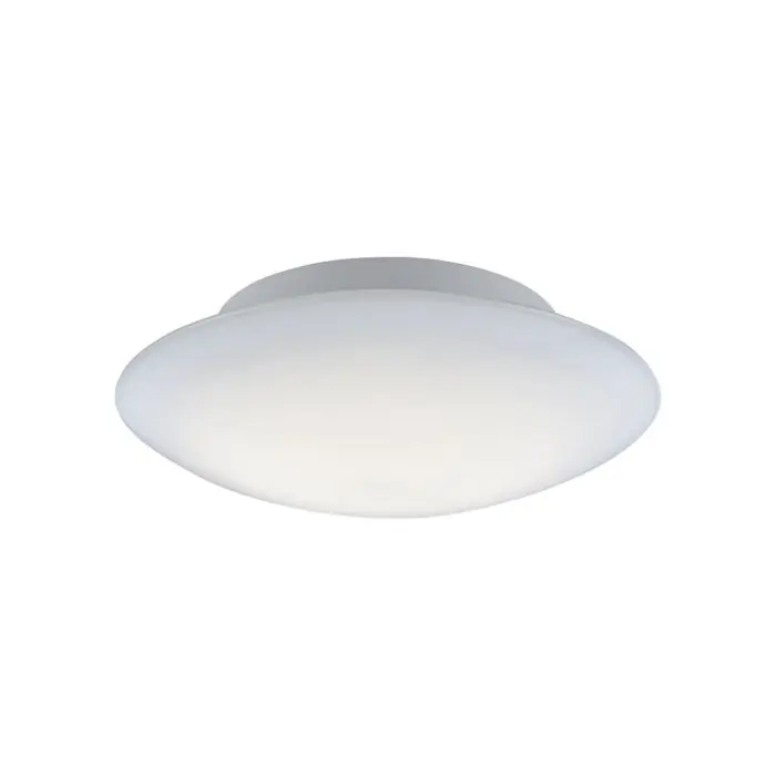 Paul Neuhaus Q-ARKTIS Plafondlamp LED Wit, 1-licht, Afstandsbediening, Kleurwisselaar Direct Beschikbaar