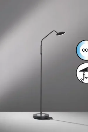 Voordeelprijs Fischer & Honsel Tallri Staande lamp LED Zwart, 1-licht