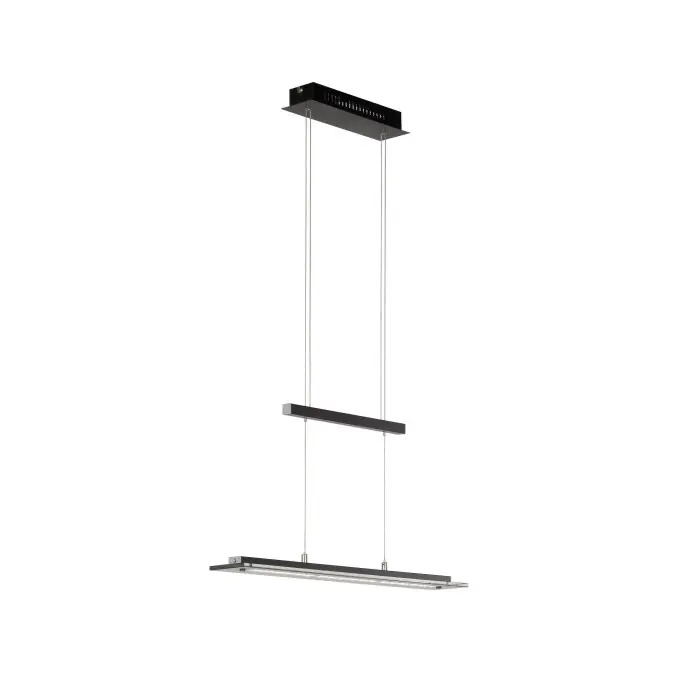 Fischer & Honsel Tenso TW Hanglamp LED Zwart, 1-licht Veilige Betaling