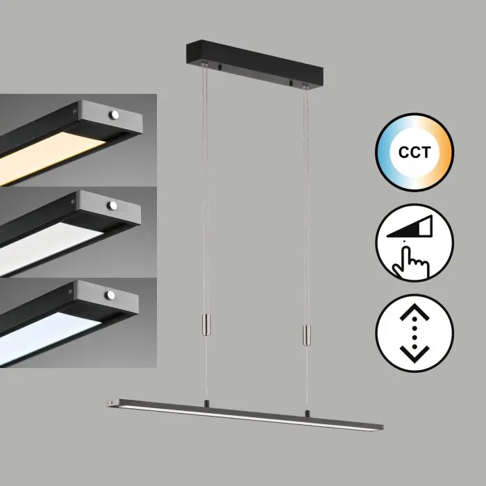 Direct Verzonden Fischer & Honsel Metz TW Hanglamp LED Zwart, 1-licht
