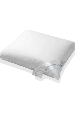 Vandyck kapok hoofdkussen stevig (Special Silver) (60x70 cm) Bestel Nu