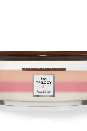 WoodWick geurkaars Trilogy Blooming Orchard Ellipse Gecertificeerd