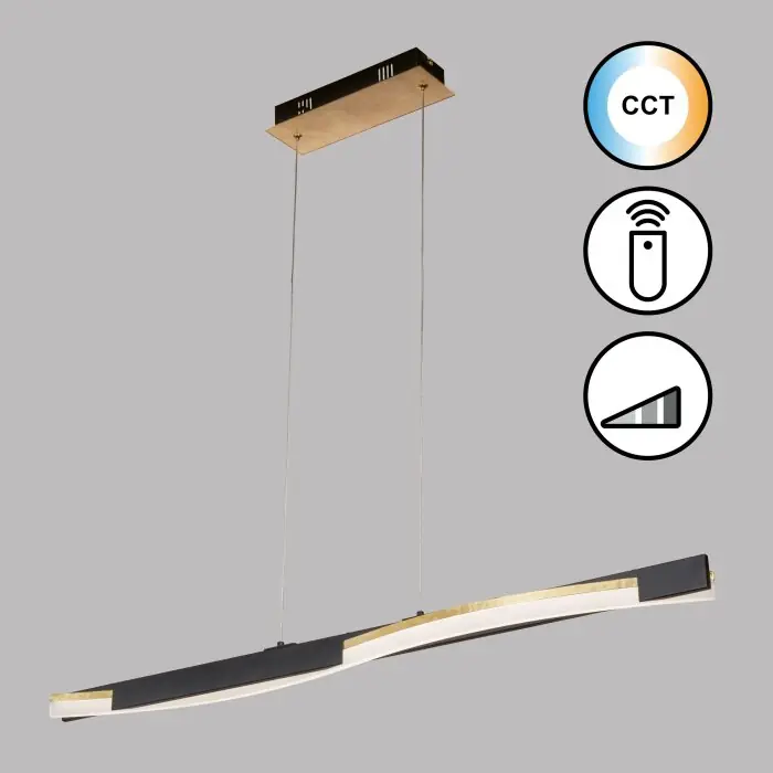 Korting Fischer & Honsel Bridge Hanglamp LED Zwart, 1-licht, Afstandsbediening