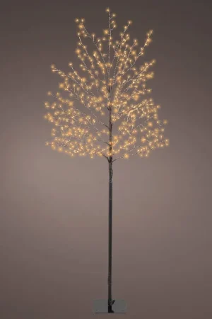 Nu Kopen Lumineo micro LED boom buiten - dia60.00-H150.00cm-480L
