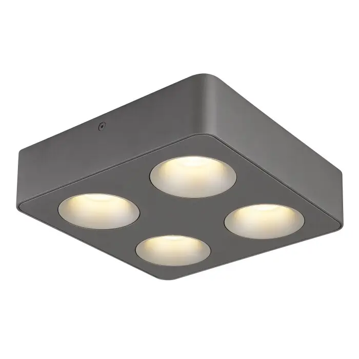 Globo Hangarau Plafondlamp LED Grijs, 1-licht Lage Kosten