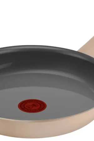Merkproduct Tefal Revive koekenpan (Ø24 cm)