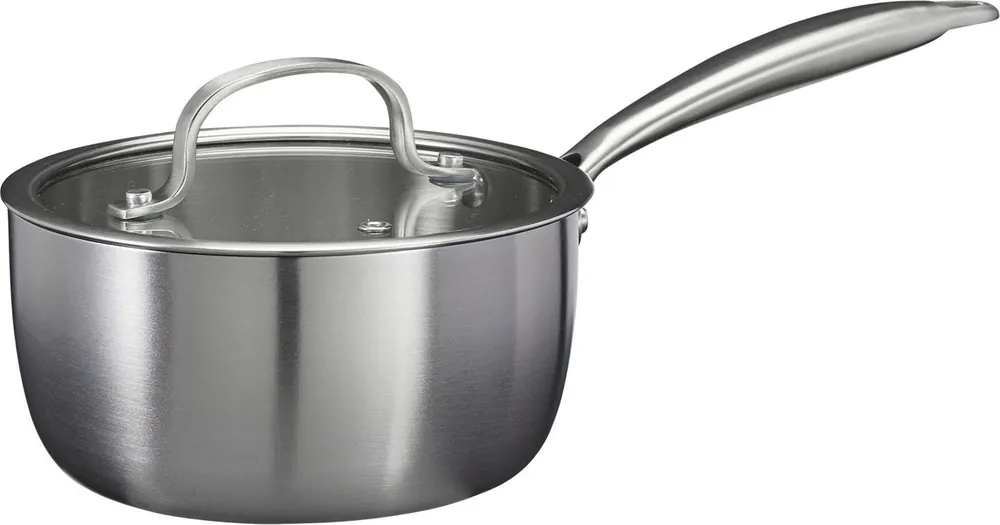 Populair Cookinglife Steelpan met Glazen Deksel Signature Steel - RVS - ø 17.5 cm - geschikt voor alle warmtebronnen