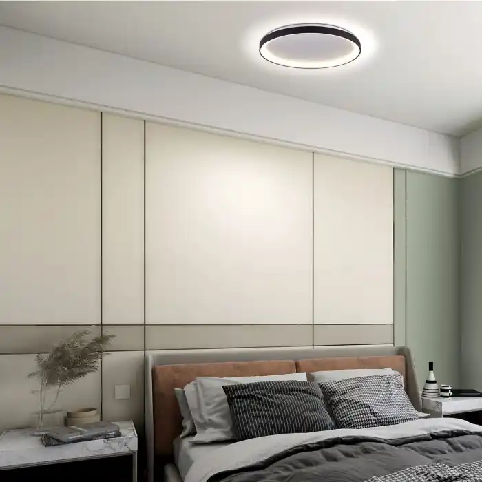 Seizoensaanbieding steenhouwer Ringlede Plafondlamp LED Zwart, 1-licht