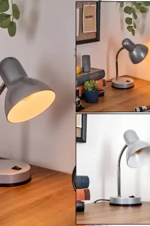 Werup Tafellamp, Leeslamp Zilver, 1-licht Betaalbaar
