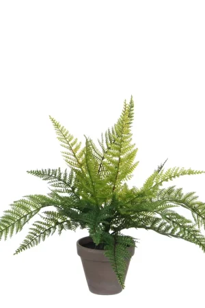Direct Verzonden Mica Decorations kunstplant Varen