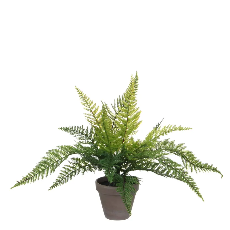 Direct Verzonden Mica Decorations kunstplant Varen