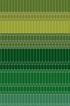 Gratis Retour Laagpolig vloerkleed Moooi Carpets Zigzag Green