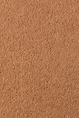 Aanbieding DESSO Asteranne A411 2055 – Luxueus Velours Vloerkleed