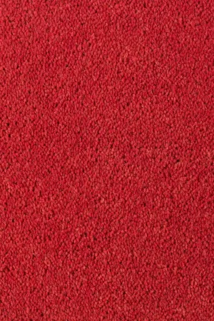Laatste Versie DESSO Asteranne A411 4311 – Velours Vloerkleed met Stijlvolle Afwerking