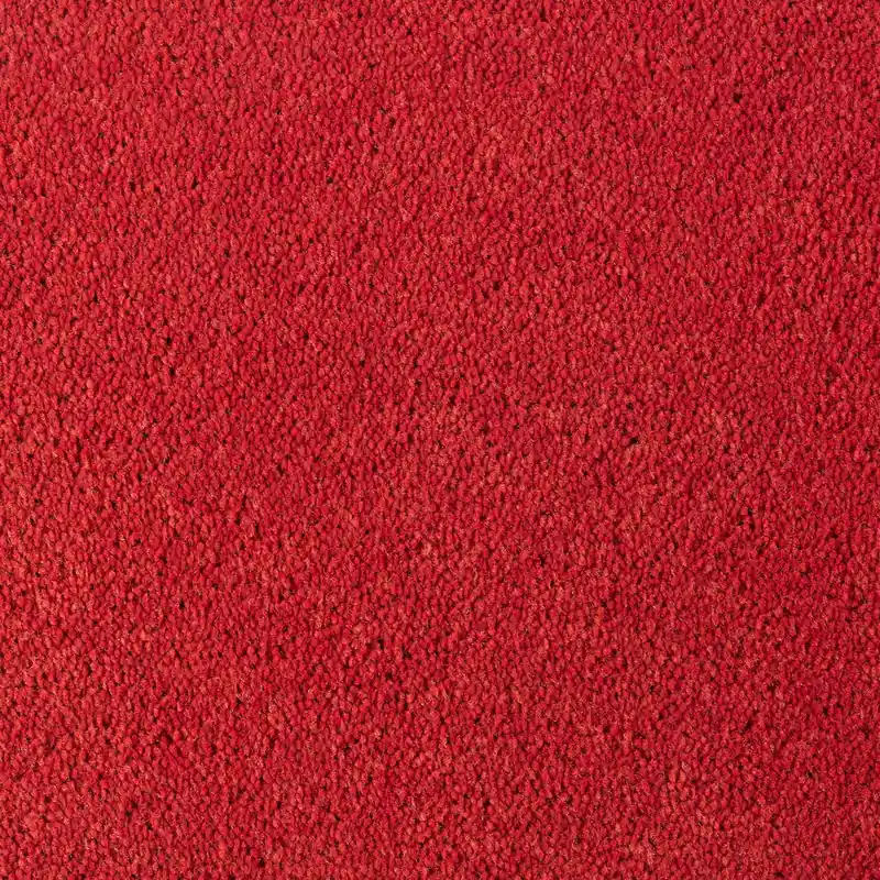 Laatste Versie DESSO Asteranne A411 4311 – Velours Vloerkleed met Stijlvolle Afwerking