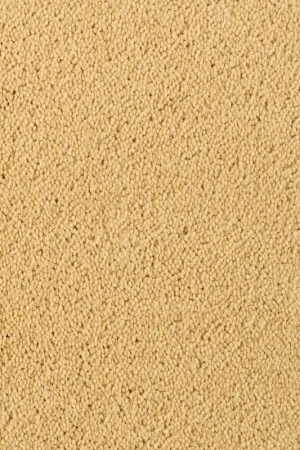 DESSO Asteranne A411 6032 – Elegant Velours Vloerkleed op Maat Gereduceerde Prijs