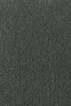 DESSO Asteranne A411 9501 – Luxe velours tapijt of vloerkleed op maat Superprijs
