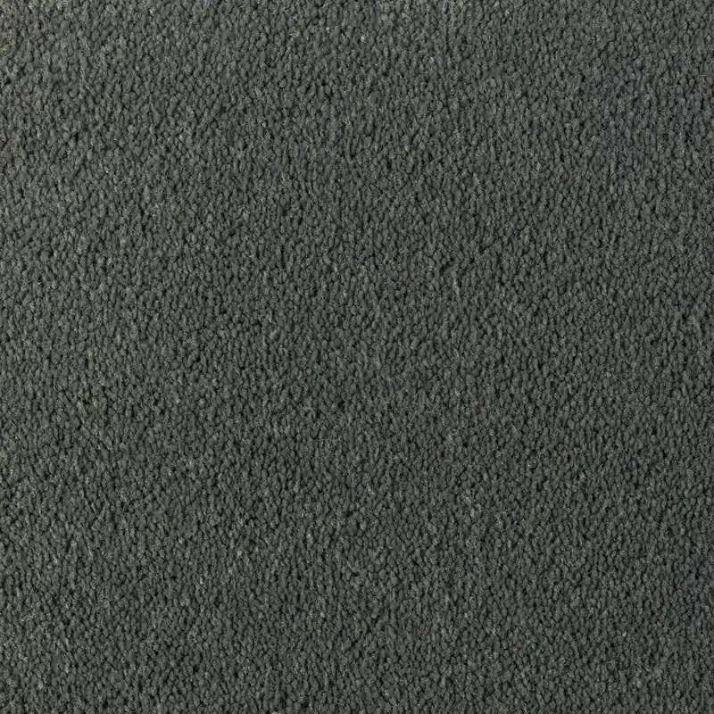 DESSO Asteranne A411 9501 – Luxe velours tapijt of vloerkleed op maat Superprijs