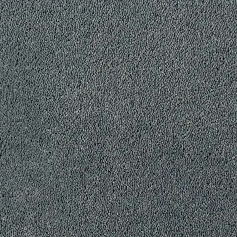 Alleen Vandaag DESSO Asteranne A411 9504 – Luxe velours tapijt of vloerkleed op maat
