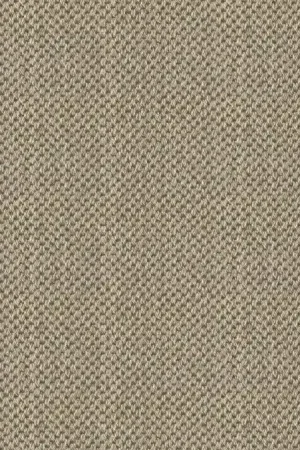 Alleen Vandaag Traploper MOMO Rugs Sisal 2549 B6415