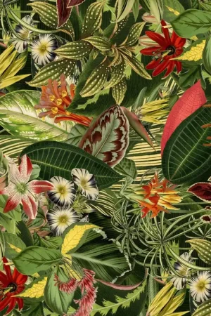 Traploper Moooi Carpets Herbarium of Extinct Plants Laatste Kans