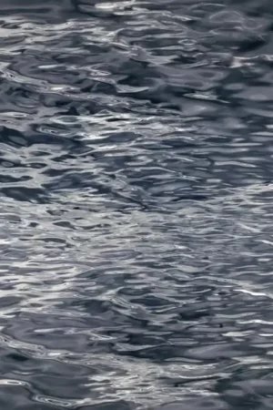 Traploper Moooi Carpets Fluid By Rive Roshan Blue Meest Verkocht