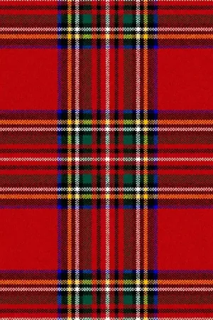 Goedkoop Traploper Ulster Carpets Glenmoy Royal Stewart