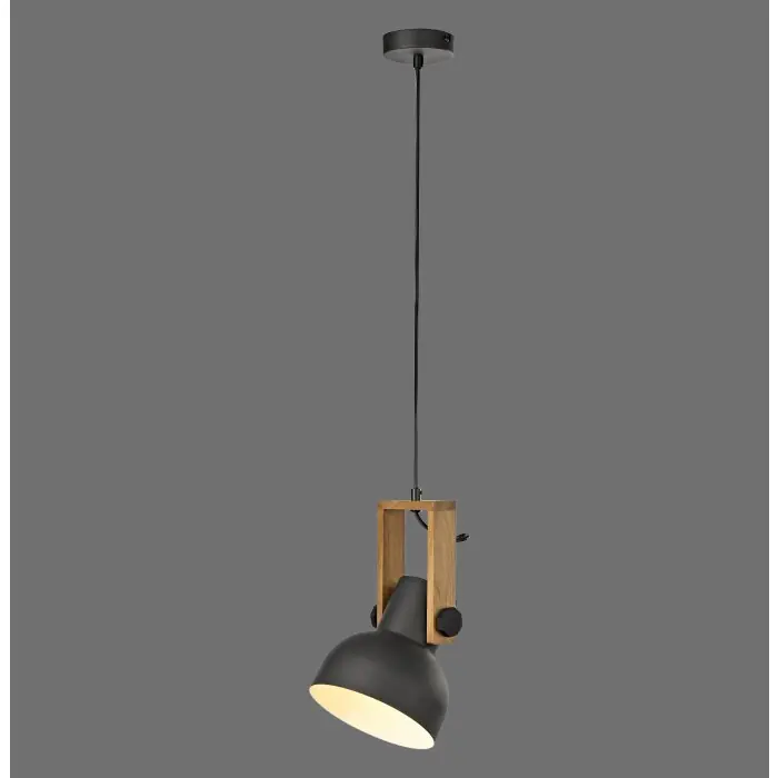 Lichten Direct 2.0 Hanglamp LED Bruin, Zwart, 1-licht Gratis Retour