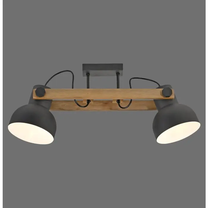 Fabrieksprijs Lichten Direct 2.0 Plafondlamp LED Bruin, Zwart, 2-lichts