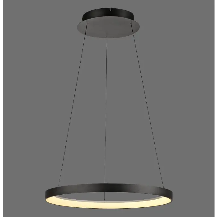 Paul Neuhaus Verlichting Hoop Hanglamp LED Zwart, 1-licht Favoriet
