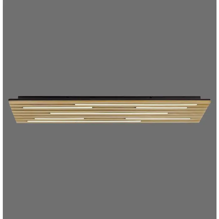Exclusieve Aanbieding Paul Neuhaus Q-Serie Q-Akustik Wand- en plafondlamp LED Bruin, Zwart, 1-licht, Afstandsbediening