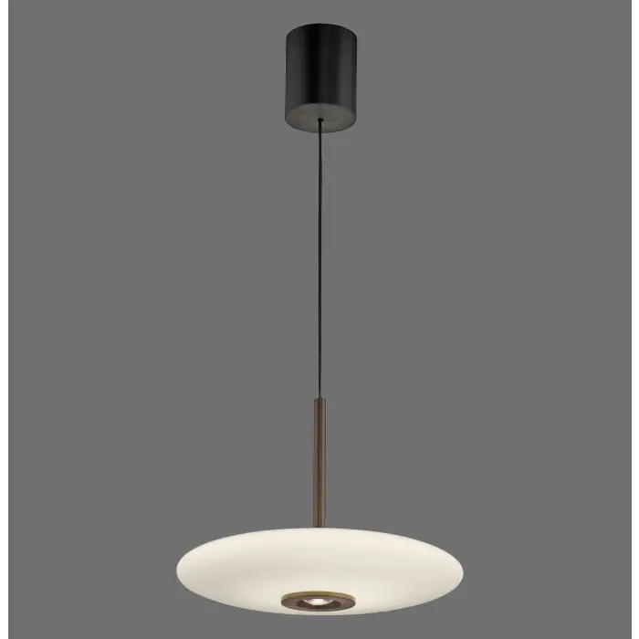 Paul Neuhaus Verlichting E-Vitrum Hanglamp LED Bruin, 2-lichts, Afstandsbediening Premium