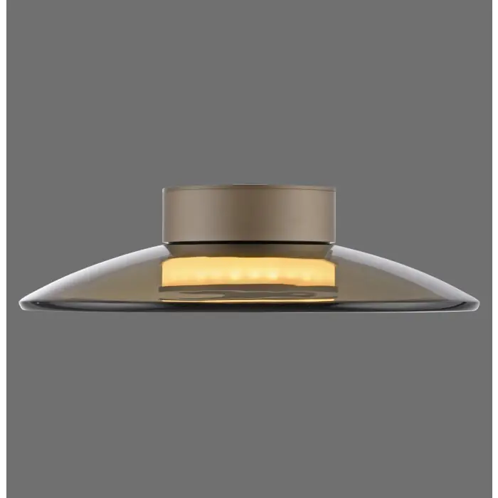 Paul Neuhaus Verlichting Moon Plafondlamp LED Brons, 2-lichts Beperkte Voorraad