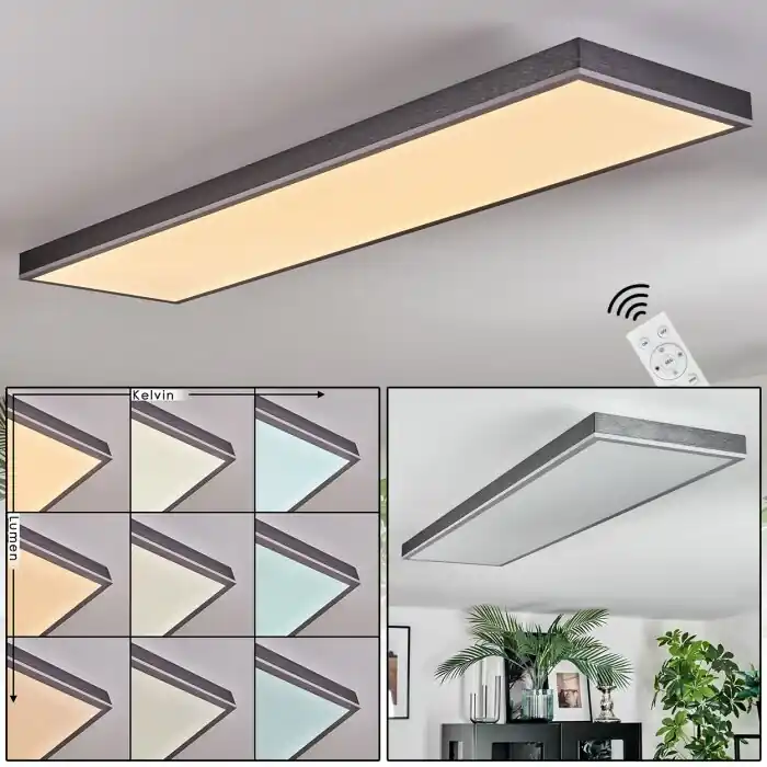 Finale Uitverkoop Salmi Plafondlamp, Paneel LED Grijs, Zilver, 1-licht, Afstandsbediening
