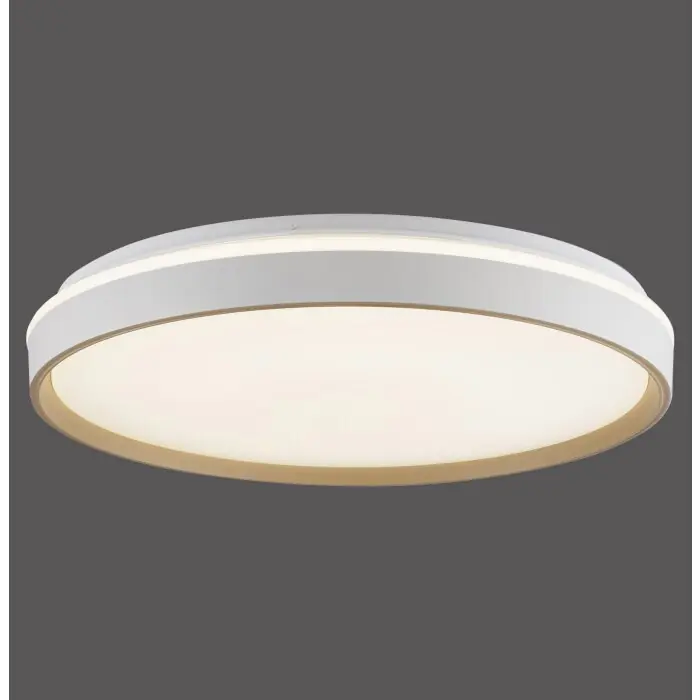 Goedkoop Paul Neuhaus Verlichting MIO Plafondlamp LED Zandkleurig, 1-licht, Afstandsbediening