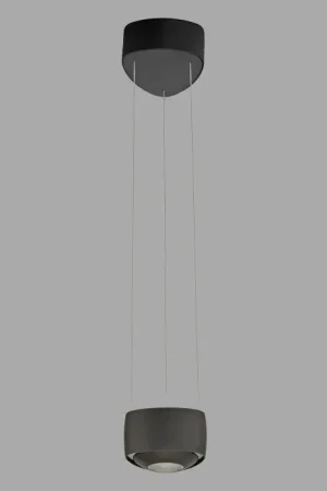 Laatste Versie Paul Neuhaus Q-Serie Q-STRETTO Hanglamp LED Zwart, 2-lichts, Afstandsbediening