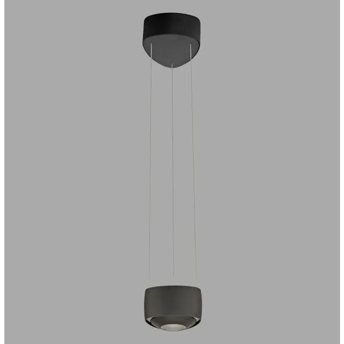 Laatste Versie Paul Neuhaus Q-Serie Q-STRETTO Hanglamp LED Zwart, 2-lichts, Afstandsbediening