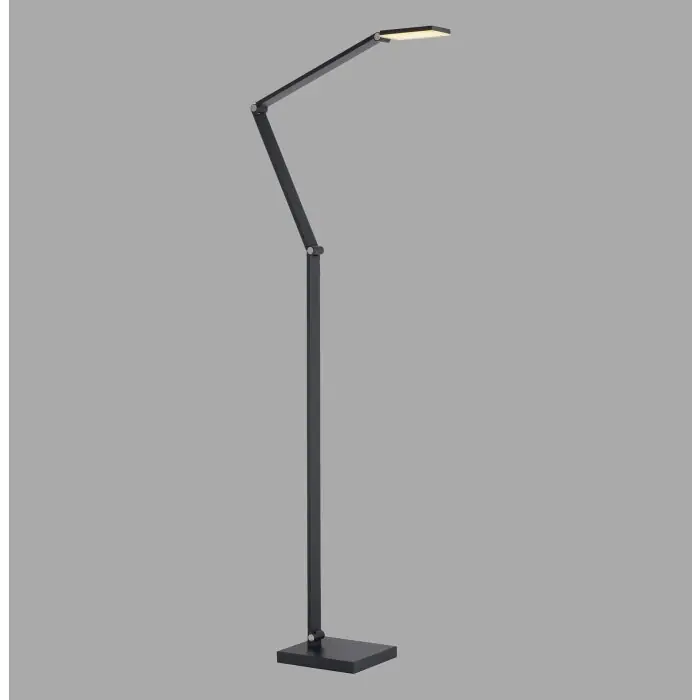 Paul Neuhaus Verlichting SAMSKY Staande lamp LED Grijs, 1-licht Populair