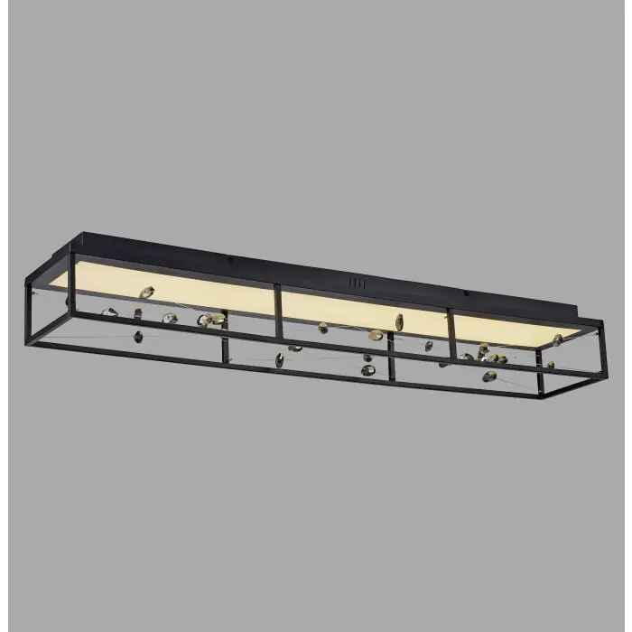 Paul Neuhaus Verlichting SKINA Plafondlamp LED Zwart, 1-licht, Afstandsbediening Express Levering