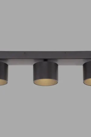 Beste Prijs Paul Neuhaus Verlichting Cup Plafondlamp LED Zwart, 3-lichts