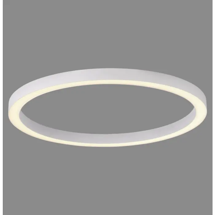 Paul Neuhaus Verlichting Round Plafondlamp LED Wit, 1-licht, Afstandsbediening Koop Online