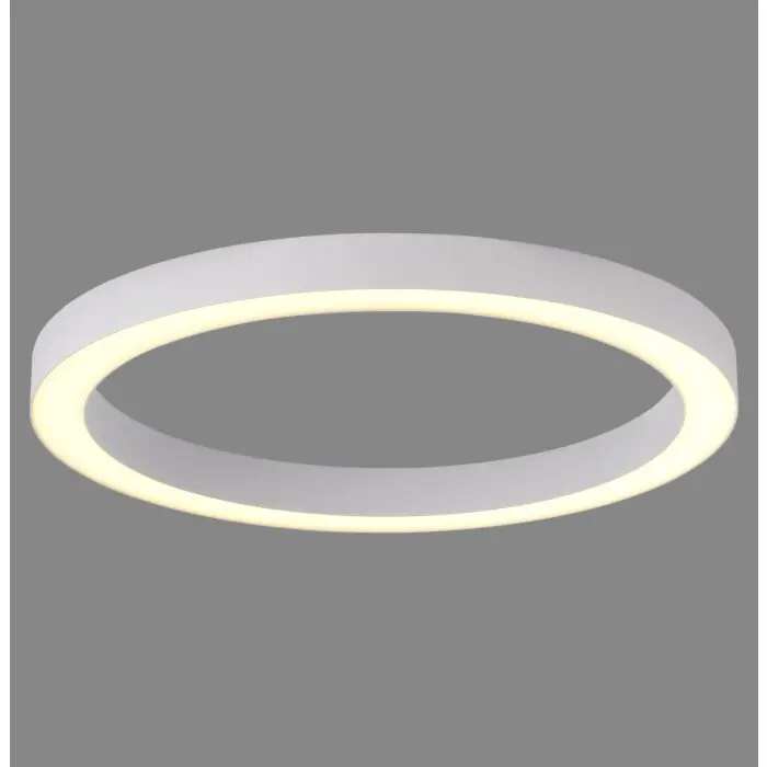 Laatste Versie Paul Neuhaus Verlichting Round Plafondlamp LED Wit, 1-licht, Afstandsbediening