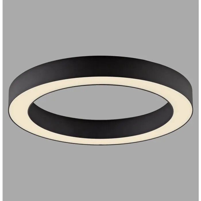 Express Levering Paul Neuhaus Verlichting Round Plafondlamp LED Grijs, 1-licht, Afstandsbediening