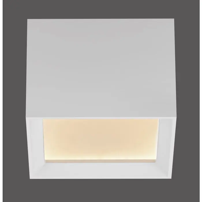 Bestel Nu Paul Neuhaus Verlichting Manhattan Plafondlamp LED Wit, 1-licht, Afstandsbediening