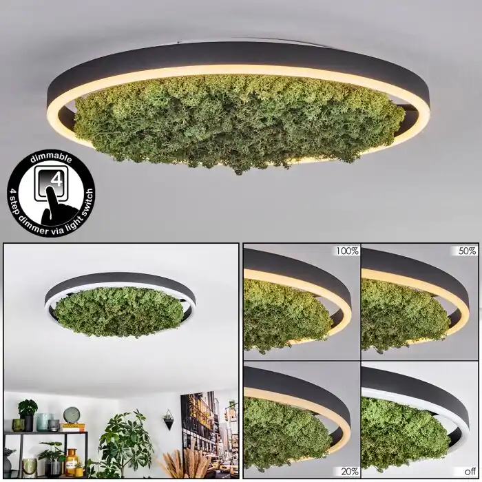 Beste Prijs Dorel Plafondlamp LED Groen, Wit, 1-licht