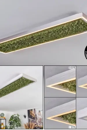 Aanbieding Dorel Plafondlamp LED Groen, Zilver, Wit, 1-licht