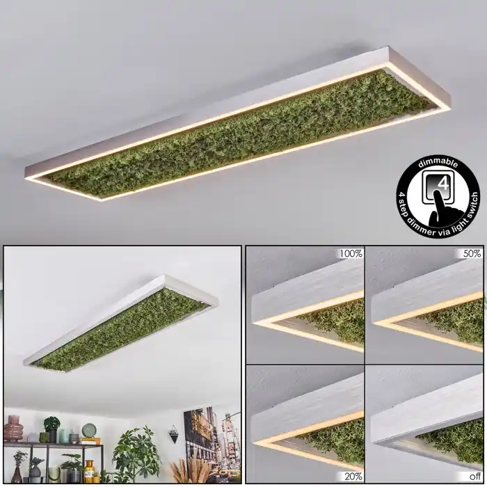 Aanbieding Dorel Plafondlamp LED Groen, Zilver, Wit, 1-licht