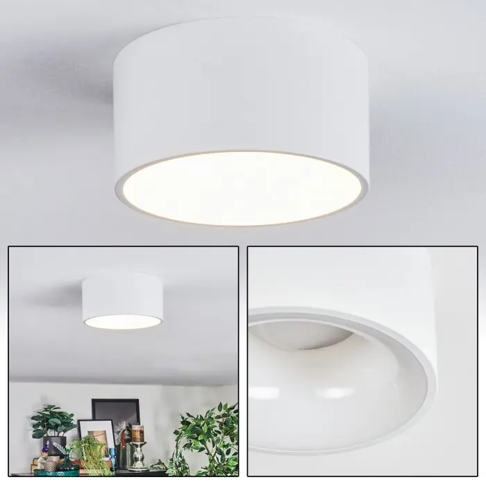 Falor Plafondlamp LED Wit, 1-licht Beste Prijs