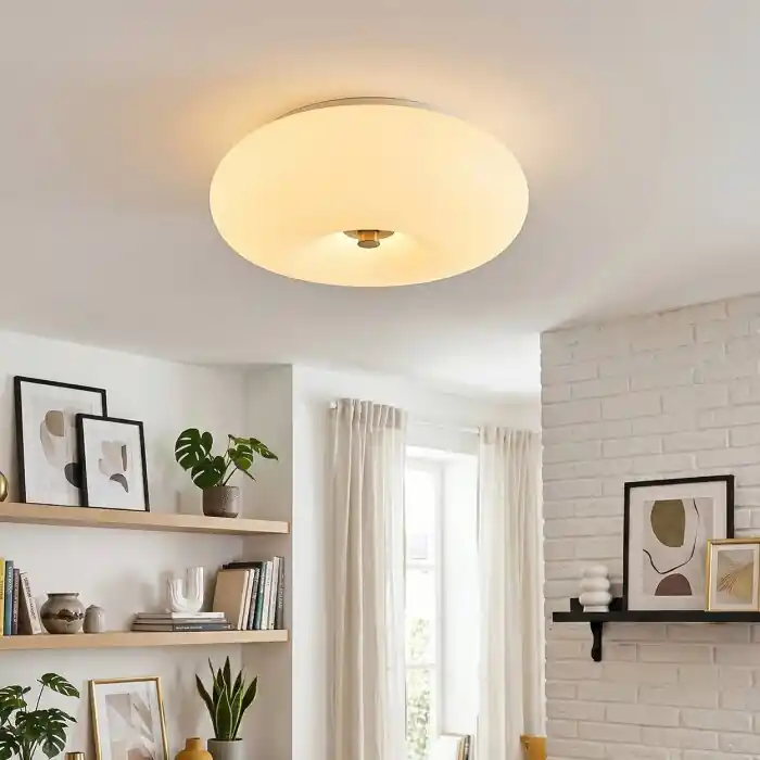 Molak Plafondlamp Nikkel mat, 2-lichts Populair